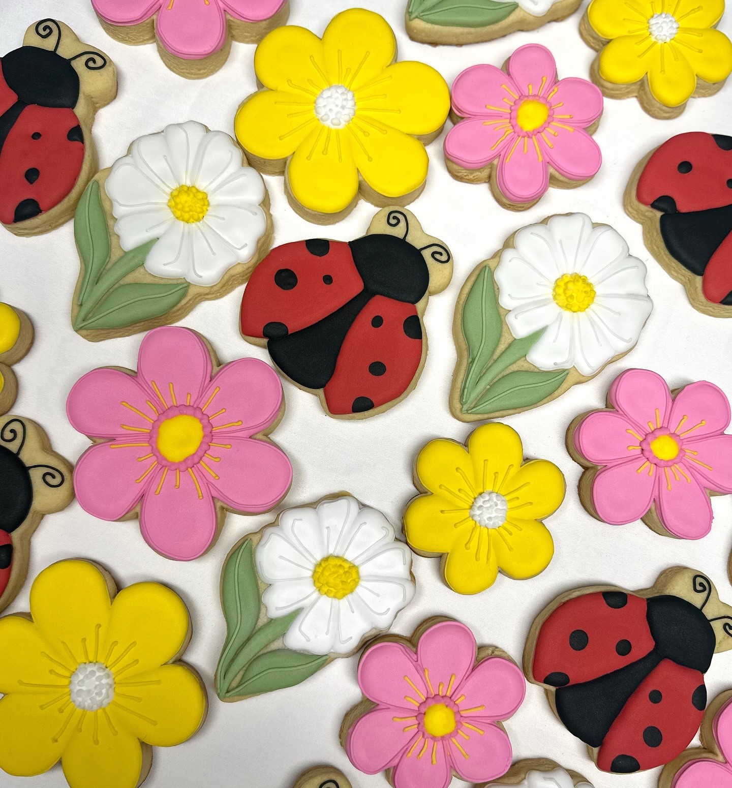 Spring daisy and ladybug cookies in pink, yellow, white